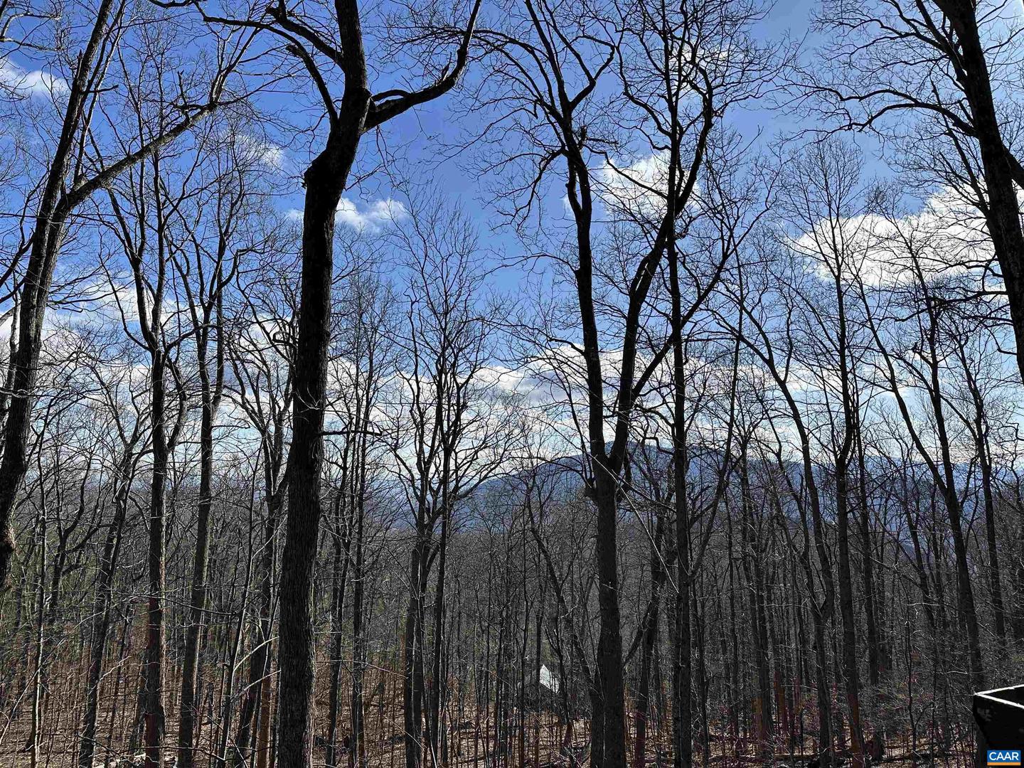 145 FIRTREE DR, WINTERGREEN RESORT, Virginia 22967, 3 Bedrooms Bedrooms, ,2 BathroomsBathrooms,Residential,For sale,145 FIRTREE DR,662115 MLS # 662115 145 FIRTREE DR, WINTERGREEN RESORT, Virginia 22967, 3 Bedrooms Bedrooms, ,2 BathroomsBathrooms,Residential,For sale,145 FIRTREE DR,662115 MLS # 662115