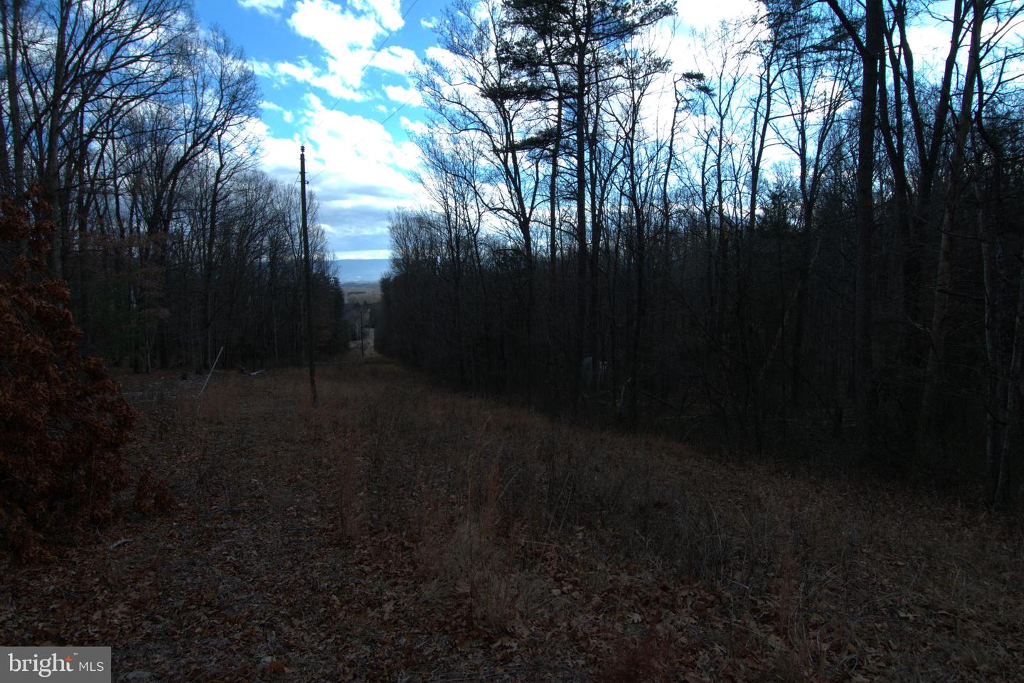 THREE MILE BANK LN, EDINBURG, Virginia 22824, ,Land,For sale,THREE MILE BANK LN,VASH2013422 MLS # VASH2013422