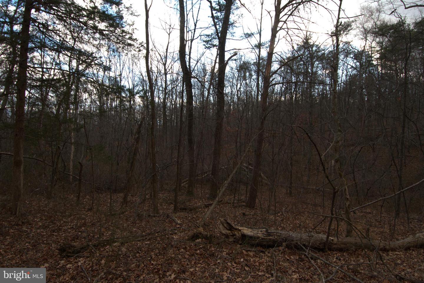 THREE MILE BANK LN, EDINBURG, Virginia 22824, ,Land,For sale,THREE MILE BANK LN,VASH2013422 MLS # VASH2013422