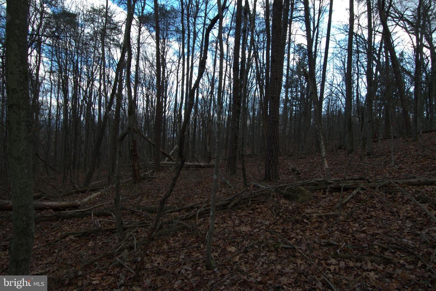 THREE MILE BANK LN, EDINBURG, Virginia 22824, ,Land,For sale,THREE MILE BANK LN,VASH2013422 MLS # VASH2013422