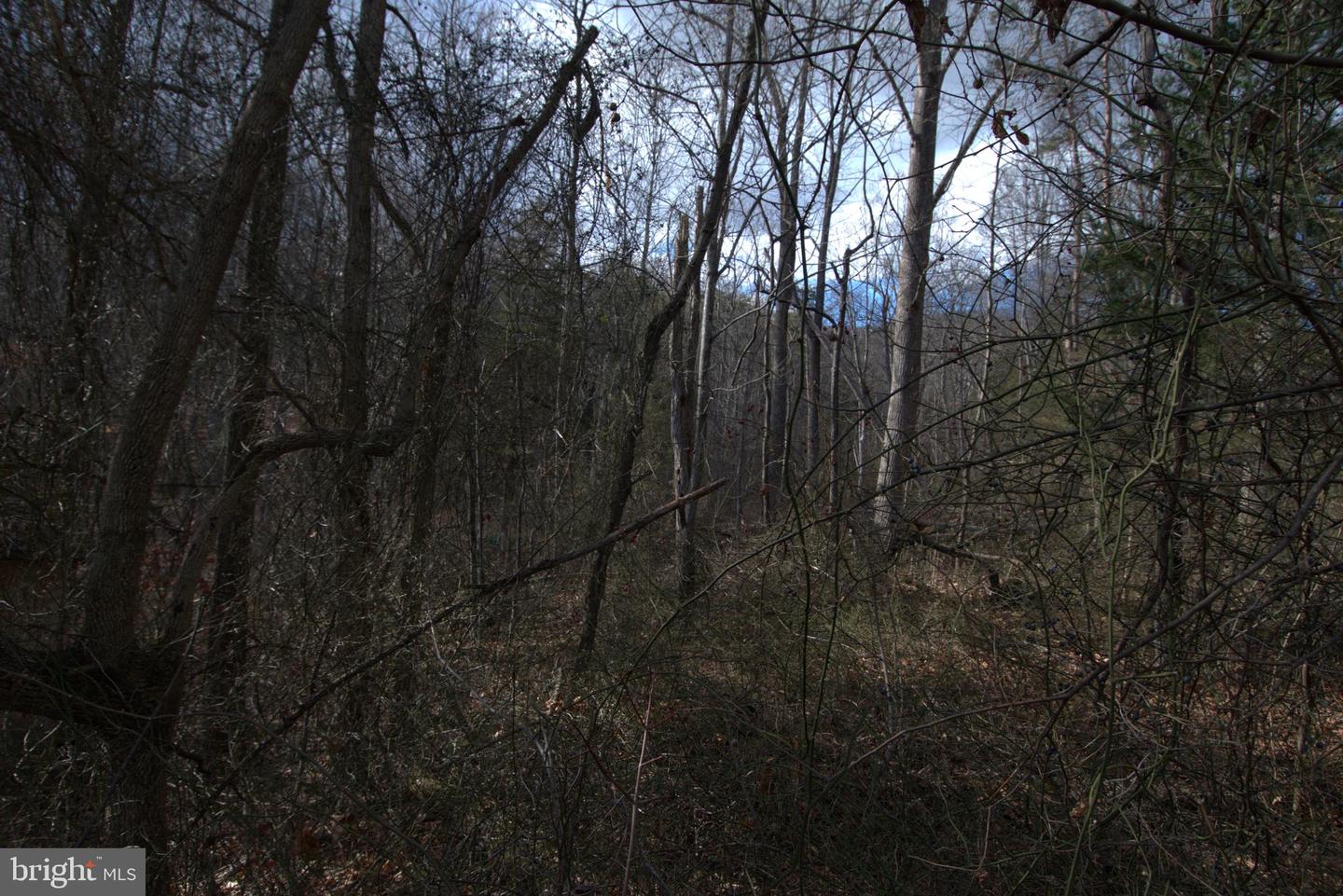 THREE MILE BANK LN, EDINBURG, Virginia 22824, ,Land,For sale,THREE MILE BANK LN,VASH2013422 MLS # VASH2013422