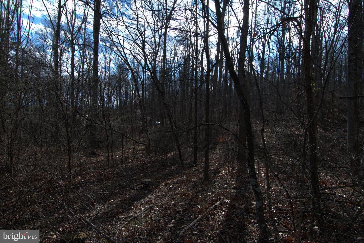 THREE MILE BANK LN, EDINBURG, Virginia 22824, ,Land,For sale,THREE MILE BANK LN,VASH2013422 MLS # VASH2013422