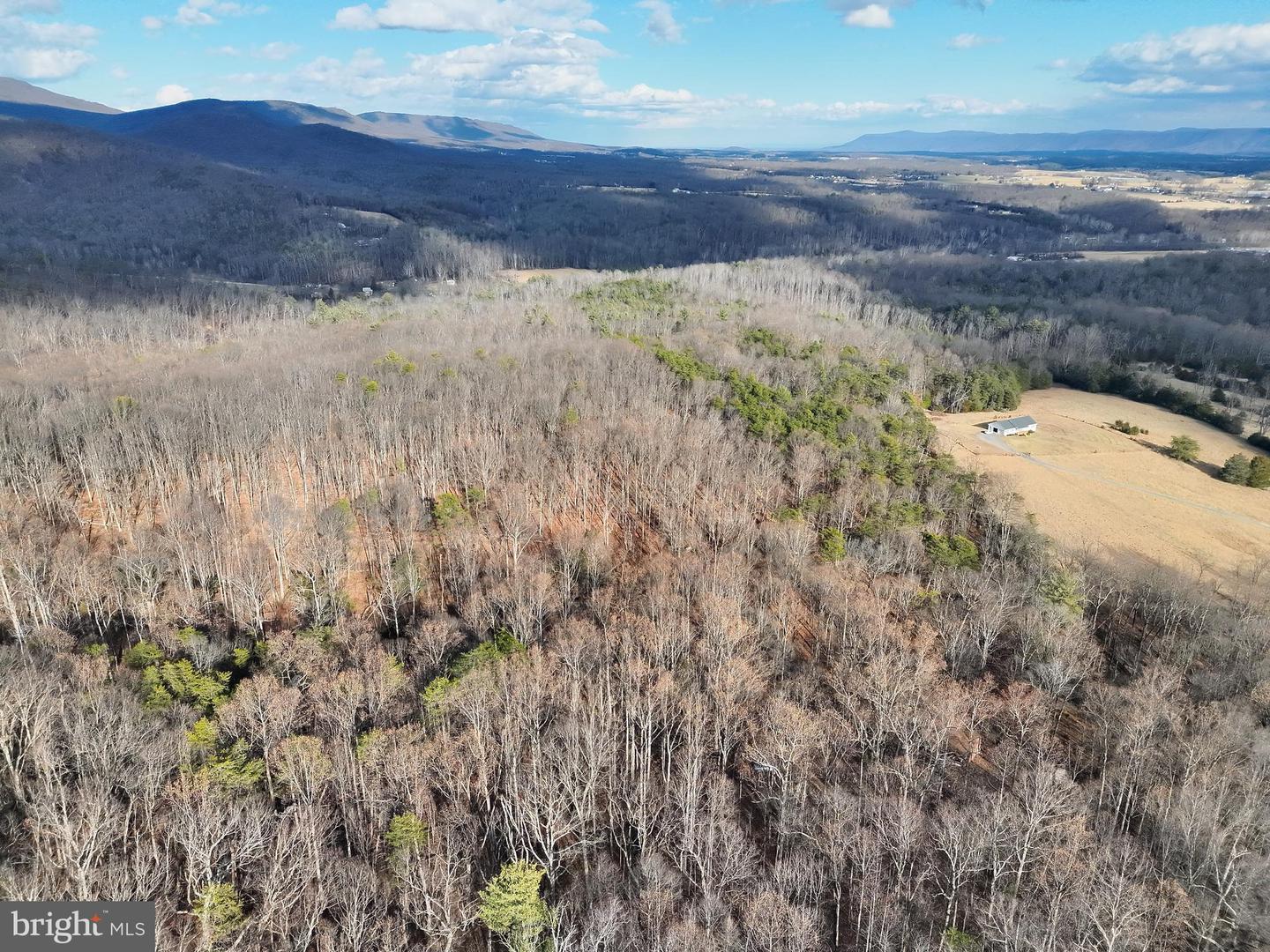 THREE MILE BANK LN, EDINBURG, Virginia 22824, ,Land,For sale,THREE MILE BANK LN,VASH2013422 MLS # VASH2013422