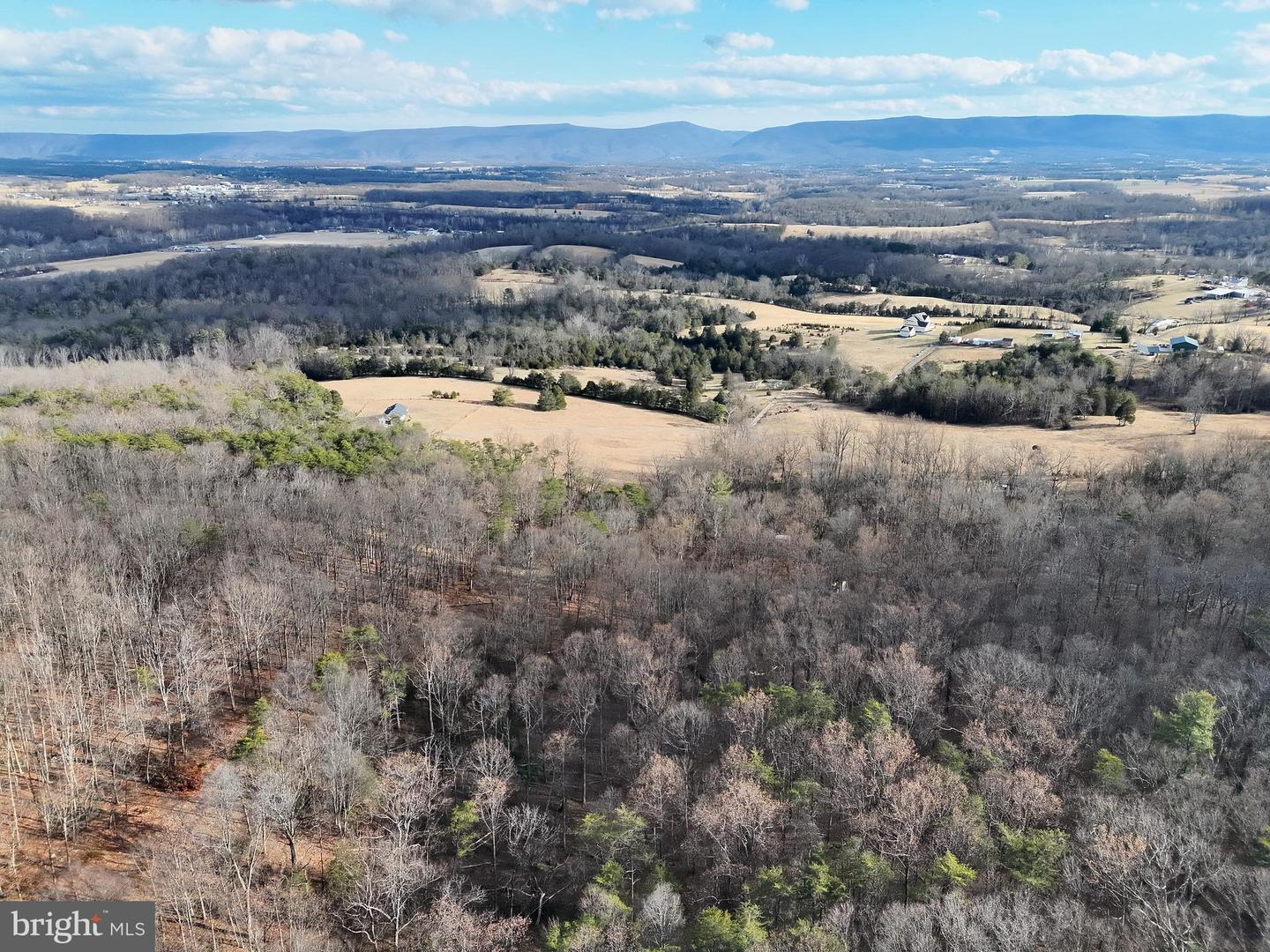 THREE MILE BANK LN, EDINBURG, Virginia 22824, ,Land,For sale,THREE MILE BANK LN,VASH2013422 MLS # VASH2013422