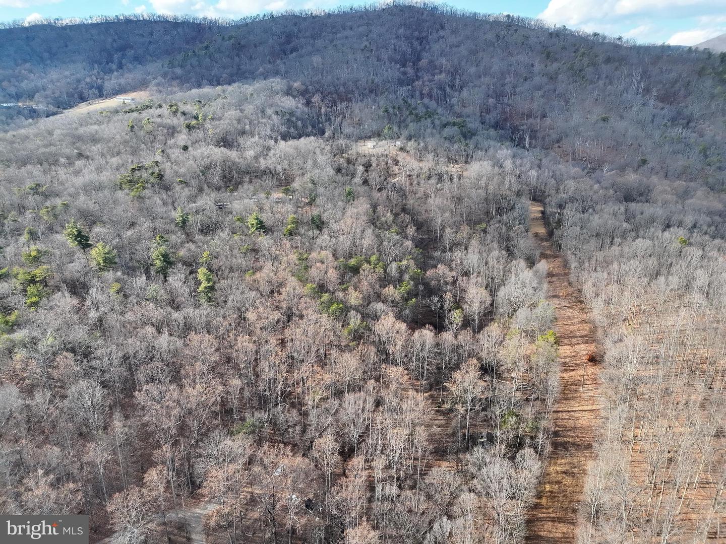 THREE MILE BANK LN, EDINBURG, Virginia 22824, ,Land,For sale,THREE MILE BANK LN,VASH2013422 MLS # VASH2013422