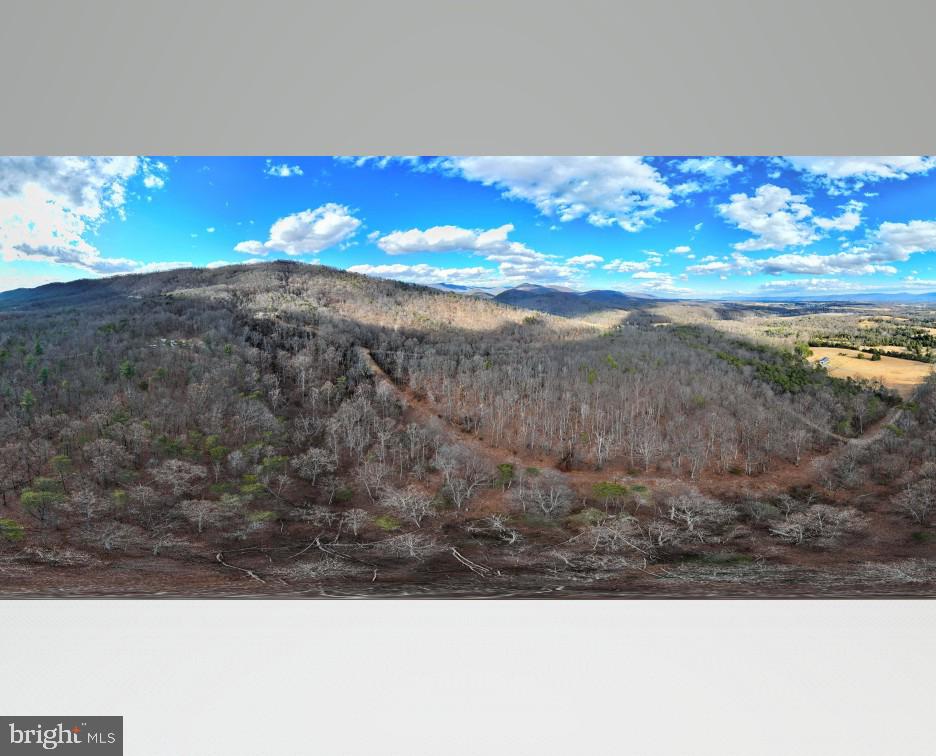 THREE MILE BANK LN, EDINBURG, Virginia 22824, ,Land,For sale,THREE MILE BANK LN,VASH2013422 MLS # VASH2013422