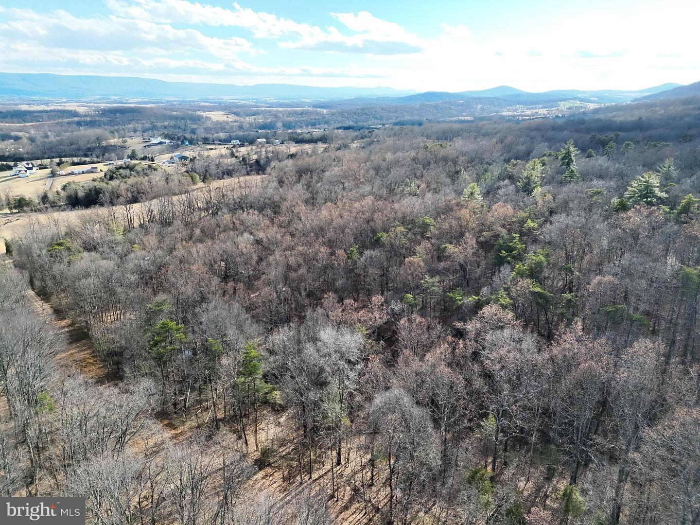 THREE MILE BANK LN, EDINBURG, Virginia 22824, ,Land,For sale,THREE MILE BANK LN,VASH2013422 MLS # VASH2013422