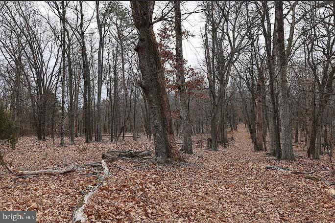 00 SWEETBRIAR LN, WINCHESTER, Virginia 22603, ,Land,For sale,00 SWEETBRIAR LN,VAFV2039096 MLS # VAFV2039096