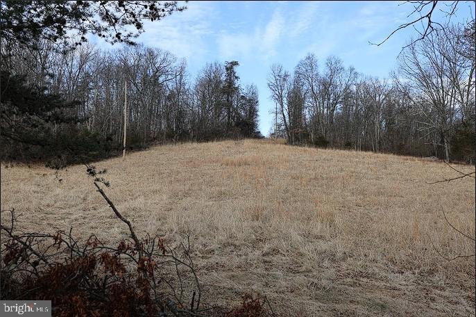 00 SWEETBRIAR LN, WINCHESTER, Virginia 22603, ,Land,For sale,00 SWEETBRIAR LN,VAFV2039096 MLS # VAFV2039096
