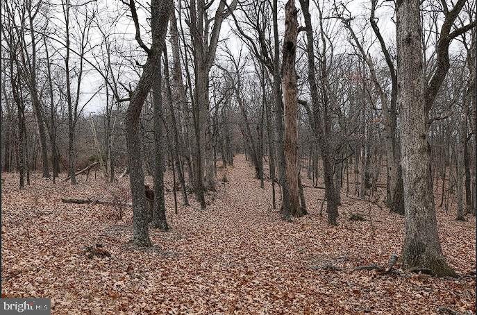 00 SWEETBRIAR LN, WINCHESTER, Virginia 22603, ,Land,For sale,00 SWEETBRIAR LN,VAFV2039096 MLS # VAFV2039096