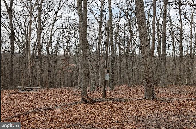 00 SWEETBRIAR LN, WINCHESTER, Virginia 22603, ,Land,For sale,00 SWEETBRIAR LN,VAFV2039096 MLS # VAFV2039096