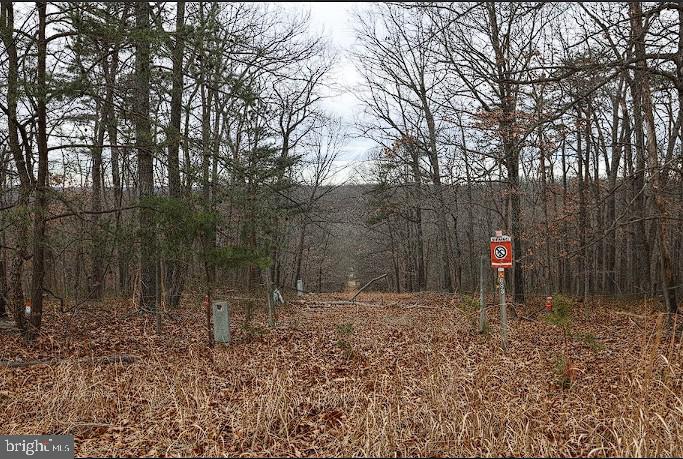 00 SWEETBRIAR LN, WINCHESTER, Virginia 22603, ,Land,For sale,00 SWEETBRIAR LN,VAFV2039096 MLS # VAFV2039096