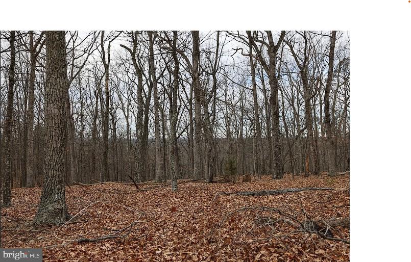 00 SWEETBRIAR LN, WINCHESTER, Virginia 22603, ,Land,For sale,00 SWEETBRIAR LN,VAFV2039096 MLS # VAFV2039096