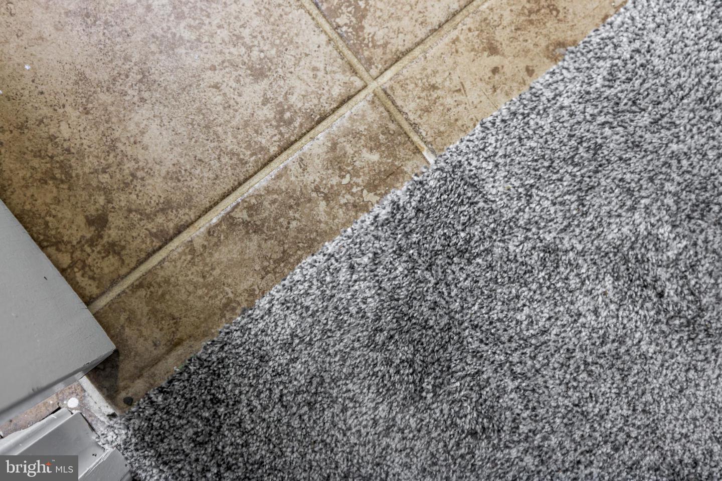 306 CONGERS LN, MCGAHEYSVILLE, Virginia 22840, 4 Bedrooms Bedrooms, ,3 BathroomsBathrooms,Residential,For sale,306 CONGERS LN,VARO2002810 MLS # VARO2002810 306 CONGERS LN, MCGAHEYSVILLE, Virginia 22840, 4 Bedrooms Bedrooms, ,3 BathroomsBathrooms,Residential,For sale,306 CONGERS LN,VARO2002810 MLS # VARO2002810