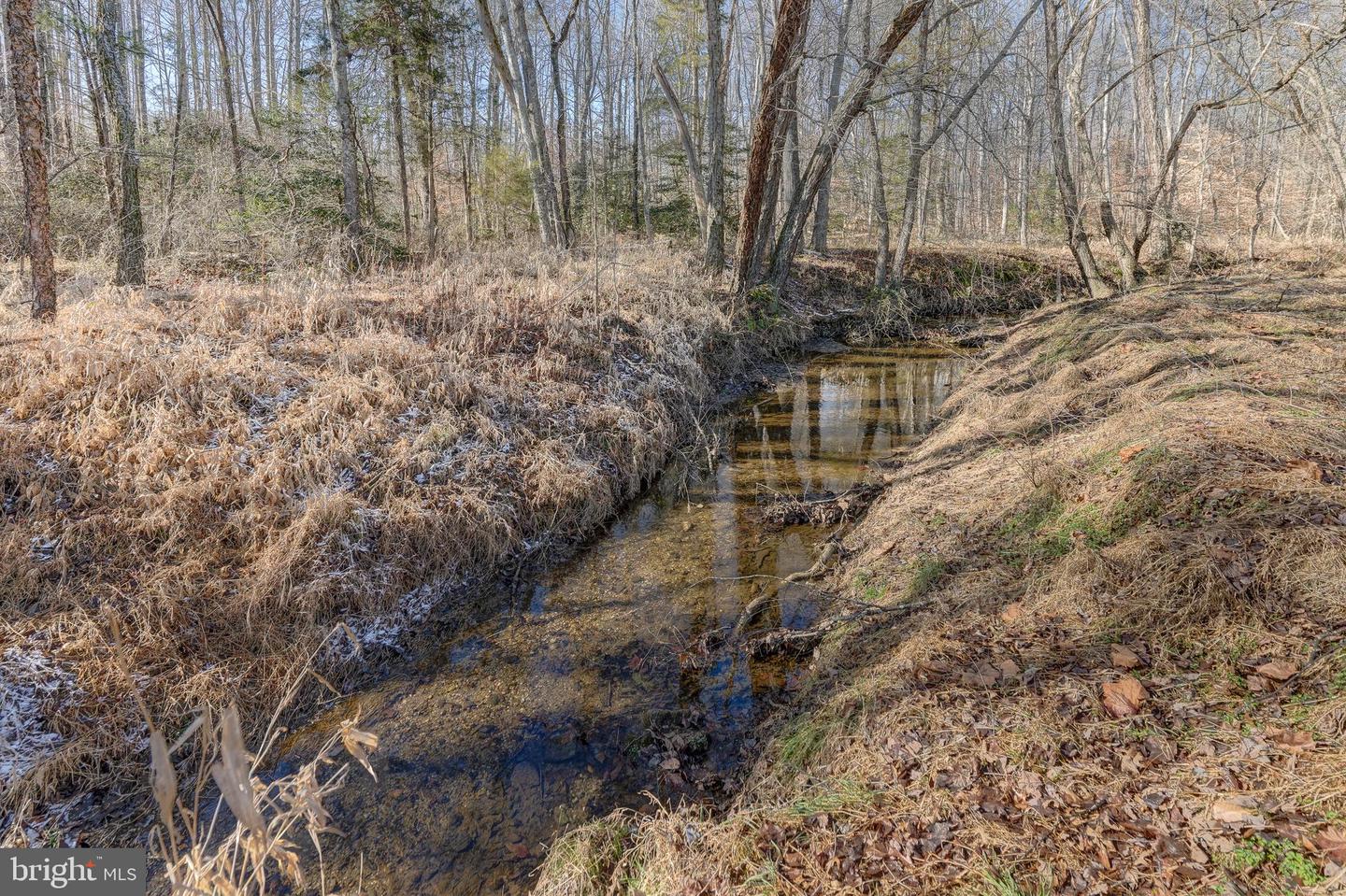 209 FAIRWAY DR, LOUISA, Virginia 23093, 3 Bedrooms Bedrooms, 13 Rooms Rooms,2 BathroomsBathrooms,Residential,For sale,209 FAIRWAY DR,VALA2009170 MLS # VALA2009170 209 FAIRWAY DR, LOUISA, Virginia 23093, 3 Bedrooms Bedrooms, 13 Rooms Rooms,2 BathroomsBathrooms,Residential,For sale,209 FAIRWAY DR,VALA2009170 MLS # VALA2009170