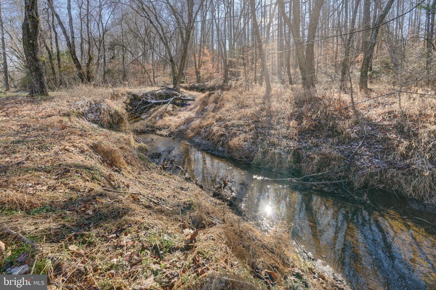 209 FAIRWAY DR, LOUISA, Virginia 23093, 3 Bedrooms Bedrooms, 13 Rooms Rooms,2 BathroomsBathrooms,Residential,For sale,209 FAIRWAY DR,VALA2009170 MLS # VALA2009170 209 FAIRWAY DR, LOUISA, Virginia 23093, 3 Bedrooms Bedrooms, 13 Rooms Rooms,2 BathroomsBathrooms,Residential,For sale,209 FAIRWAY DR,VALA2009170 MLS # VALA2009170