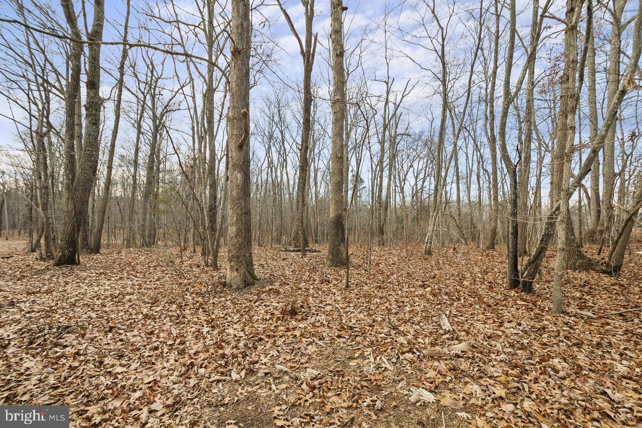 7389 LEEDS MANOR RD, MARSHALL, Virginia 20115, 3 Bedrooms Bedrooms, ,2 BathroomsBathrooms,Residential,For sale,7389 LEEDS MANOR RD,VAFQ2020196 MLS # VAFQ2020196