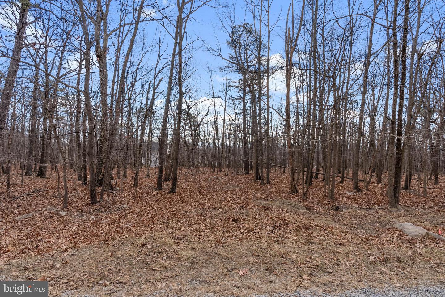 LOT 50 CARDINAL DR, WINCHESTER, Virginia 22602, ,Land,For sale,LOT 50 CARDINAL DR,VAFV2039076 MLS # VAFV2039076