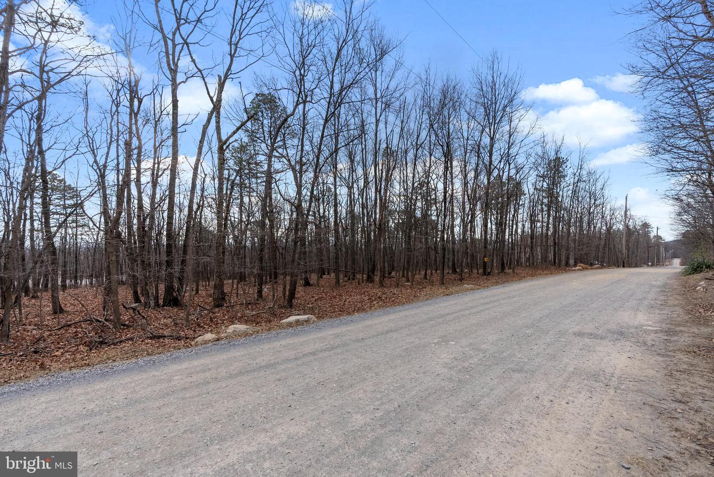 LOT 50 CARDINAL DR, WINCHESTER, Virginia 22602, ,Land,For sale,LOT 50 CARDINAL DR,VAFV2039076 MLS # VAFV2039076