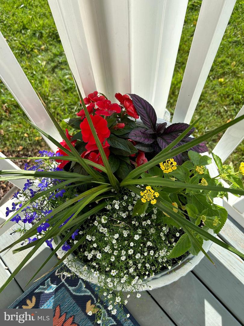 3466 MIDDLE RD, WINCHESTER, Virginia 22602, 3 Bedrooms Bedrooms, ,3 BathroomsBathrooms,Residential,For sale,3466 MIDDLE RD,VAFV2038362 MLS # VAFV2038362