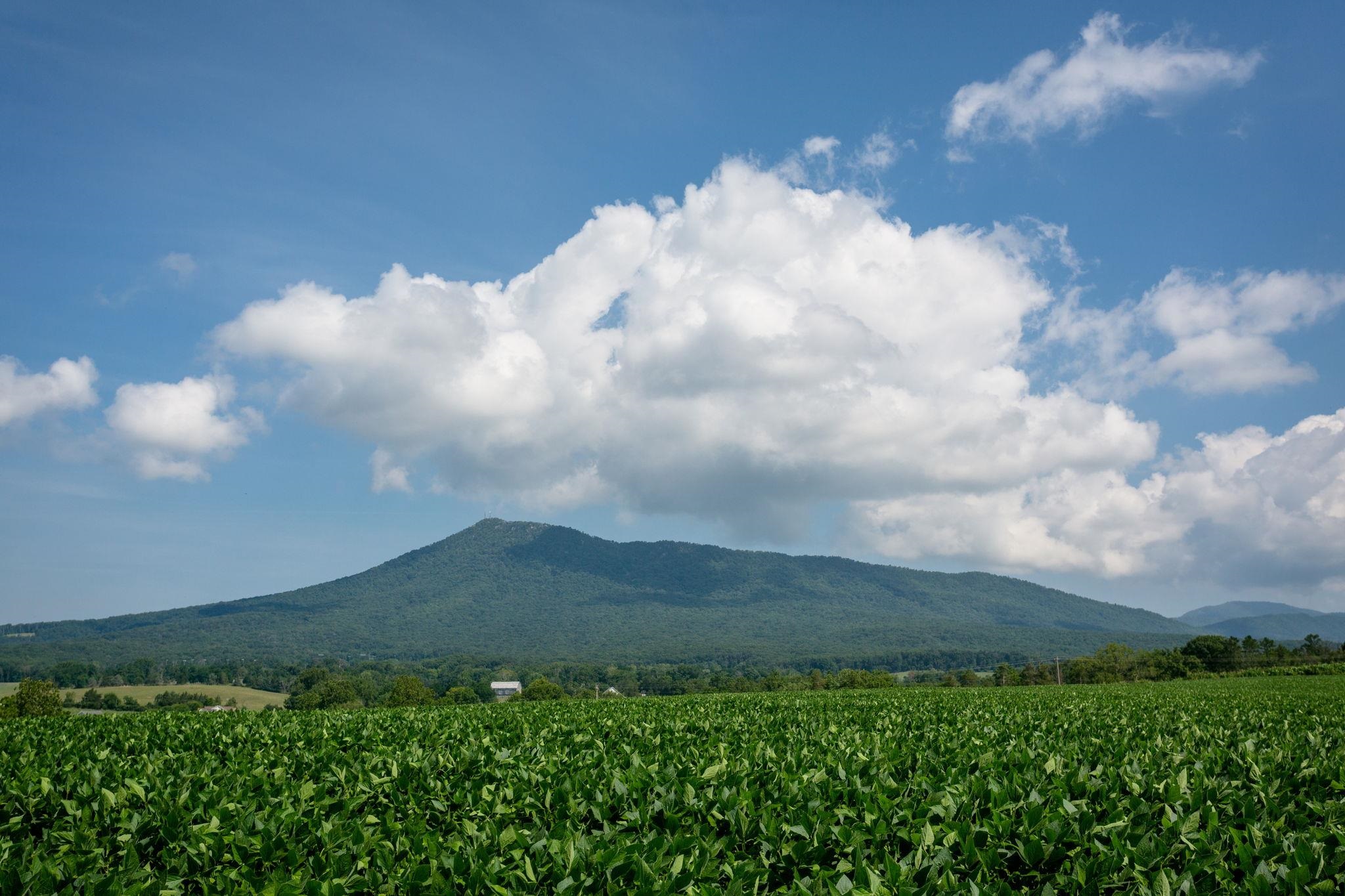 715 OVERBROOK DR, MCGAHEYSVILLE, Virginia 22840, 3 Bedrooms Bedrooms, ,3 BathroomsBathrooms,Residential,715 OVERBROOK DR,672656 MLS # 672656 715 OVERBROOK DR, MCGAHEYSVILLE, Virginia 22840, 3 Bedrooms Bedrooms, ,3 BathroomsBathrooms,Residential,715 OVERBROOK DR,672656 MLS # 672656