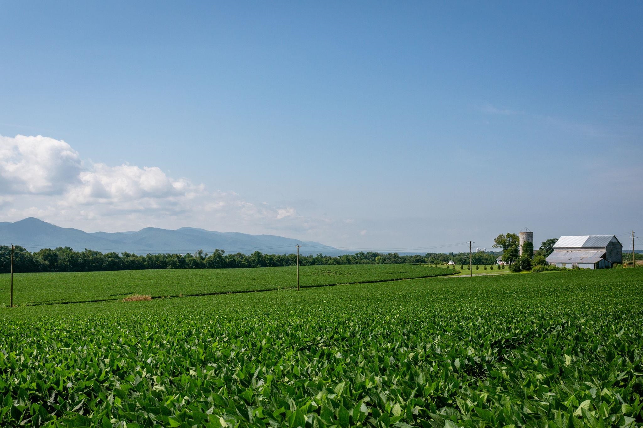 715 OVERBROOK DR, MCGAHEYSVILLE, Virginia 22840, 3 Bedrooms Bedrooms, ,3 BathroomsBathrooms,Residential,715 OVERBROOK DR,672656 MLS # 672656 715 OVERBROOK DR, MCGAHEYSVILLE, Virginia 22840, 3 Bedrooms Bedrooms, ,3 BathroomsBathrooms,Residential,715 OVERBROOK DR,672656 MLS # 672656