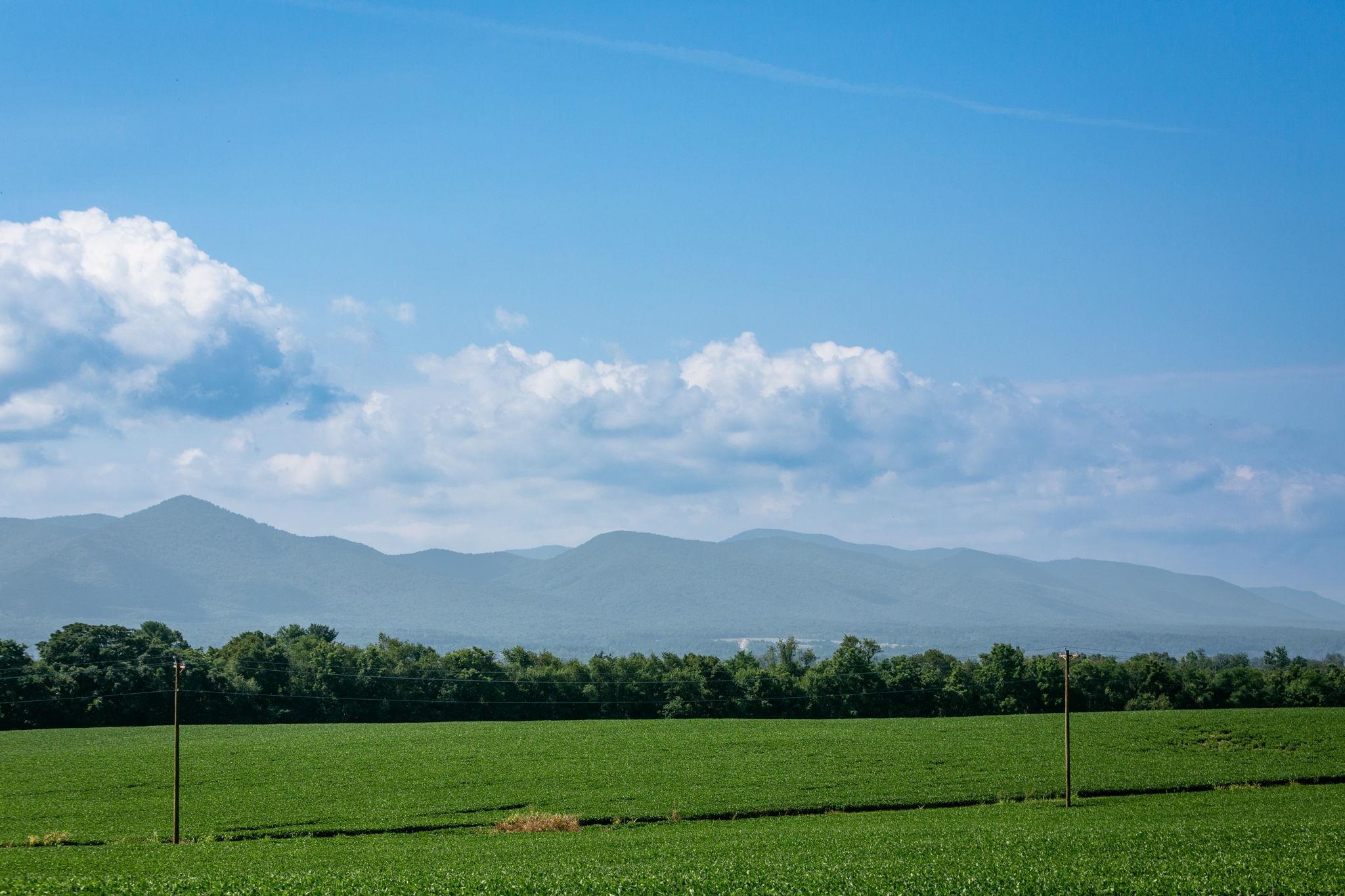 715 OVERBROOK DR, MCGAHEYSVILLE, Virginia 22840, 3 Bedrooms Bedrooms, ,3 BathroomsBathrooms,Residential,715 OVERBROOK DR,672656 MLS # 672656 715 OVERBROOK DR, MCGAHEYSVILLE, Virginia 22840, 3 Bedrooms Bedrooms, ,3 BathroomsBathrooms,Residential,715 OVERBROOK DR,672656 MLS # 672656