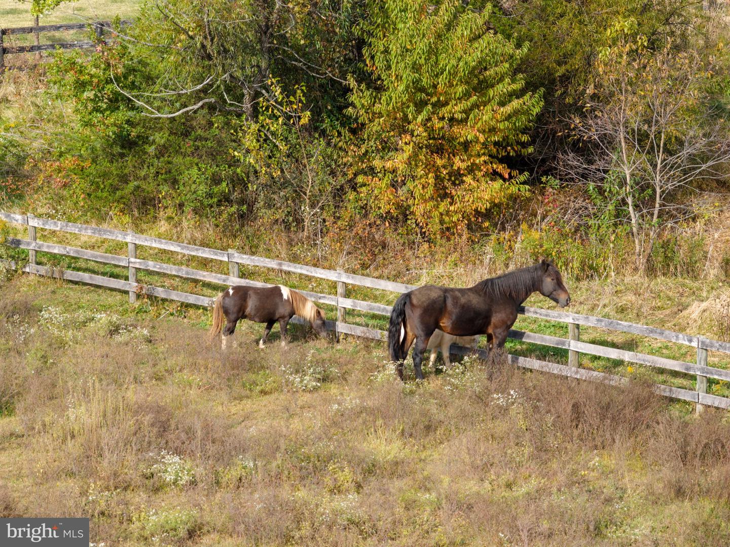 19937 EVERGREEN MILLS RD, LEESBURG, Virginia 20175, 4 Bedrooms Bedrooms, ,4 BathroomsBathrooms,Residential,For sale,19937 EVERGREEN MILLS RD,VALO2112992 MLS # VALO2112992