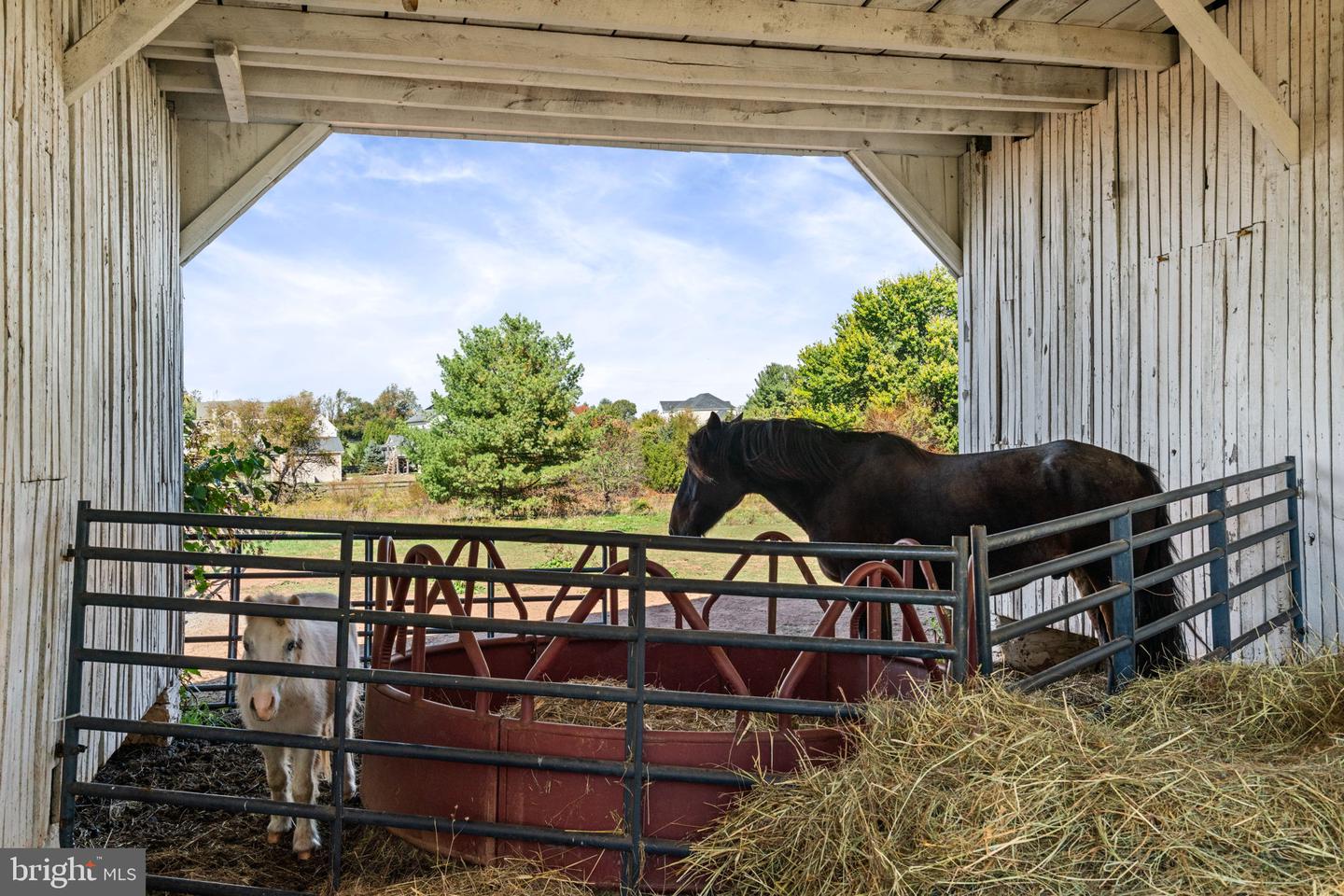 19937 EVERGREEN MILLS RD, LEESBURG, Virginia 20175, 4 Bedrooms Bedrooms, ,4 BathroomsBathrooms,Residential,For sale,19937 EVERGREEN MILLS RD,VALO2112992 MLS # VALO2112992