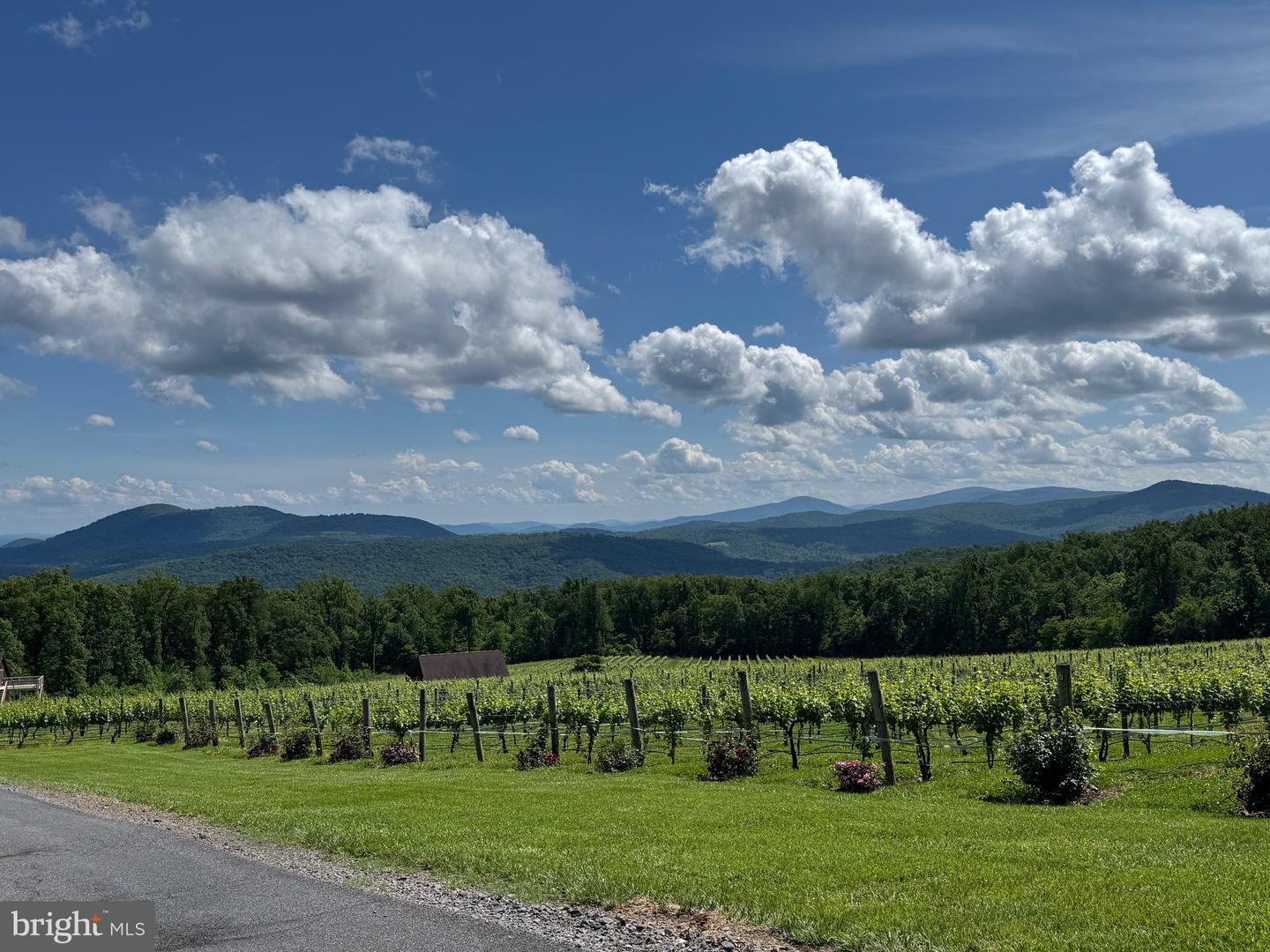 138 PARKSIDE RD, LINDEN, Virginia 22642, 3 Bedrooms Bedrooms, 10 Rooms Rooms,2 BathroomsBathrooms,Residential,For sale,138 PARKSIDE RD,VAWR2013036 MLS # VAWR2013036 138 PARKSIDE RD, LINDEN, Virginia 22642, 3 Bedrooms Bedrooms, 10 Rooms Rooms,2 BathroomsBathrooms,Residential,For sale,138 PARKSIDE RD,VAWR2013036 MLS # VAWR2013036