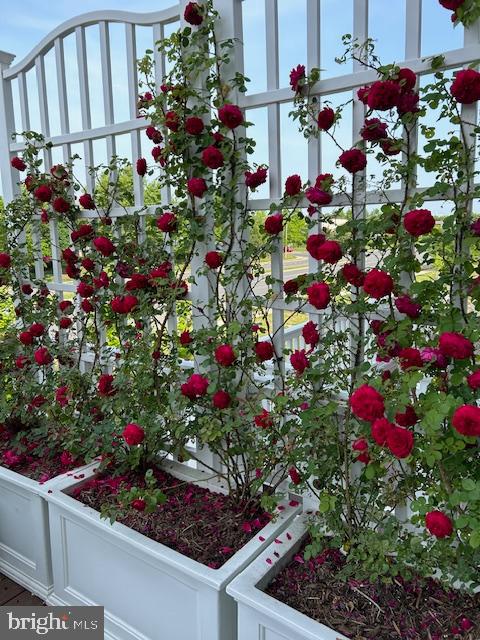 7452 WILMER WAY, MANASSAS, Virginia 20109, 3 Bedrooms Bedrooms, ,3 BathroomsBathrooms,Residential,For sale,7452 WILMER WAY,VAPW2110468 MLS # VAPW2110468