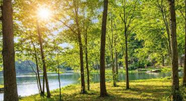 1008 LAKEVIEW DR, STAFFORD, Virginia 22556, 4 Bedrooms Bedrooms, ,3 BathroomsBathrooms,Residential,For sale,1008 LAKEVIEW DR,VAST2045324 MLS # VAST2045324