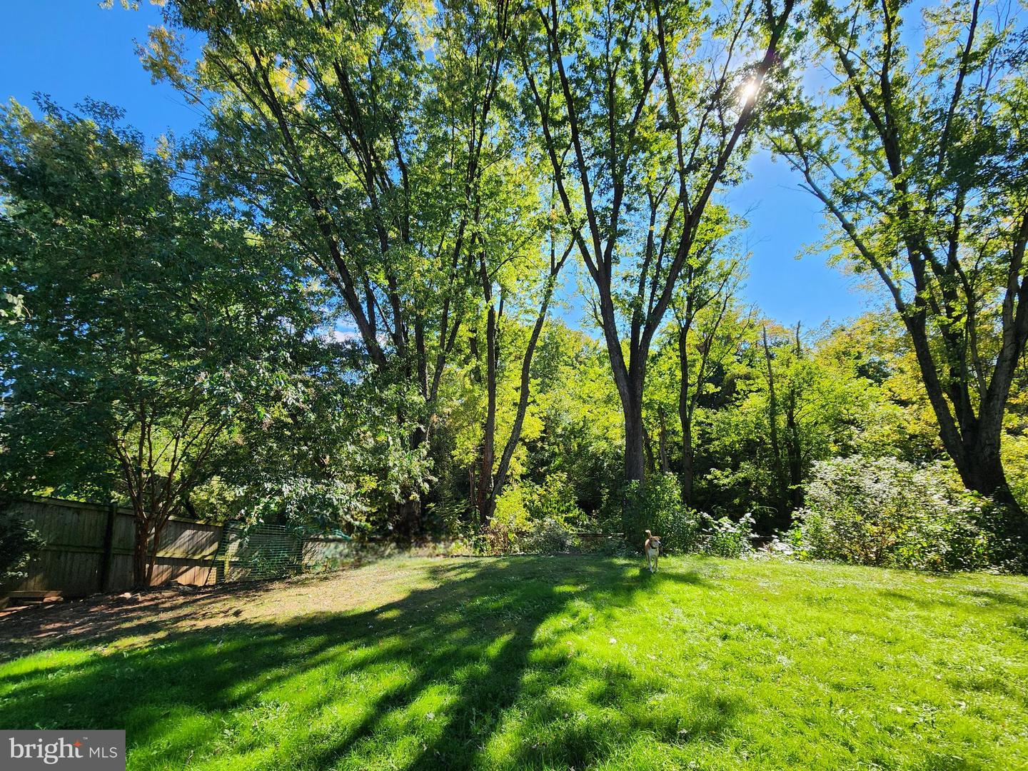 503 E CHARLOTTE ST, STERLING, Virginia 20164, 4 Bedrooms Bedrooms, ,2 BathroomsBathrooms,Residential,For sale,503 E CHARLOTTE ST,VALO2114136 MLS # VALO2114136