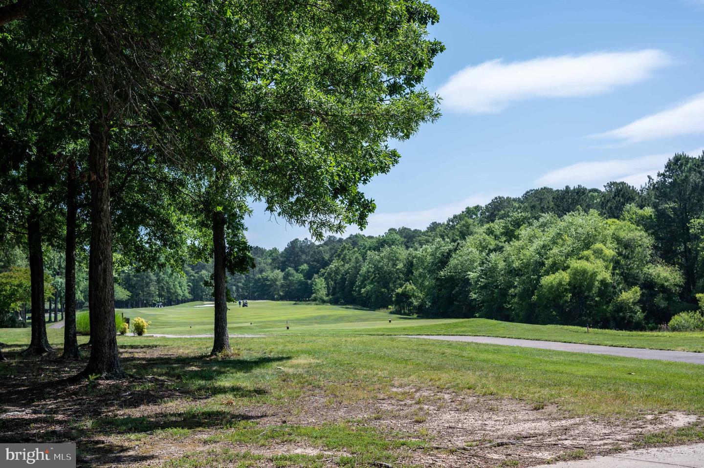 10922 CHATHAM RIDGE WAY, SPOTSYLVANIA, Virginia 22551, 5 Bedrooms Bedrooms, ,4 BathroomsBathrooms,Residential,For sale,10922 CHATHAM RIDGE WAY,VASP2038744 MLS # VASP2038744