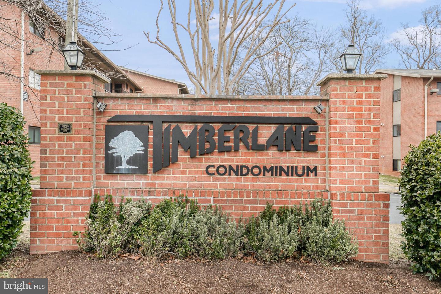 7374 ROUTE 29 #74/102, FALLS CHURCH, Virginia 22046, 3 Bedrooms Bedrooms, ,1 BathroomBathrooms,Residential,For sale,7374 ROUTE 29 #74/102,VAFX2286710 MLS # VAFX2286710 7374 ROUTE 29 #74/102, FALLS CHURCH, Virginia 22046, 3 Bedrooms Bedrooms, ,1 BathroomBathrooms,Residential,For sale,7374 ROUTE 29 #74/102,VAFX2286710 MLS # VAFX2286710