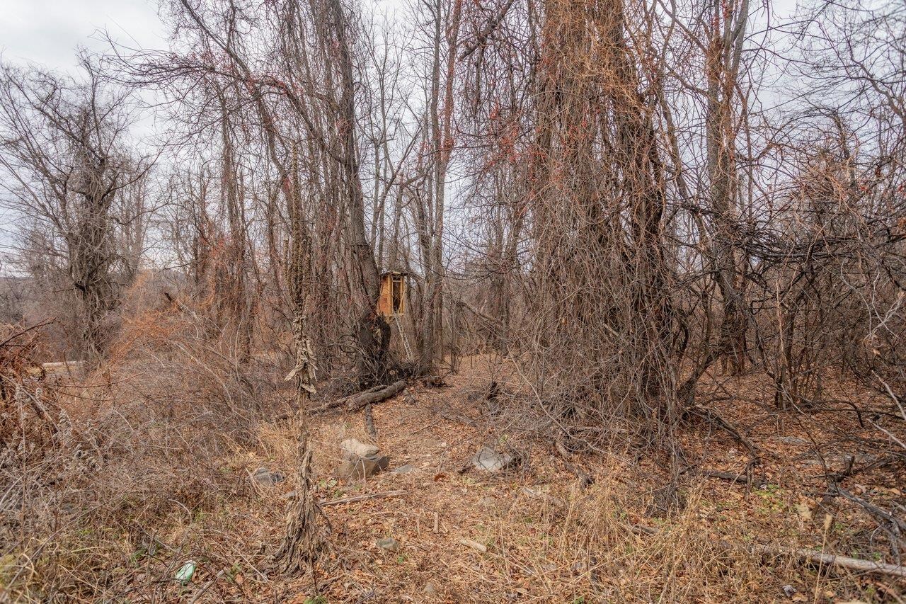 0 SHORT CUT RD, STANLEY, Virginia 22851, ,Land,0 SHORT CUT RD,672679 MLS # 672679 0 SHORT CUT RD, STANLEY, Virginia 22851, ,Land,0 SHORT CUT RD,672679 MLS # 672679