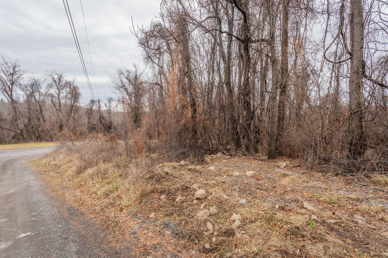 0 SHORT CUT RD, STANLEY, Virginia 22851, ,Land,0 SHORT CUT RD,672679 MLS # 672679 0 SHORT CUT RD, STANLEY, Virginia 22851, ,Land,0 SHORT CUT RD,672679 MLS # 672679