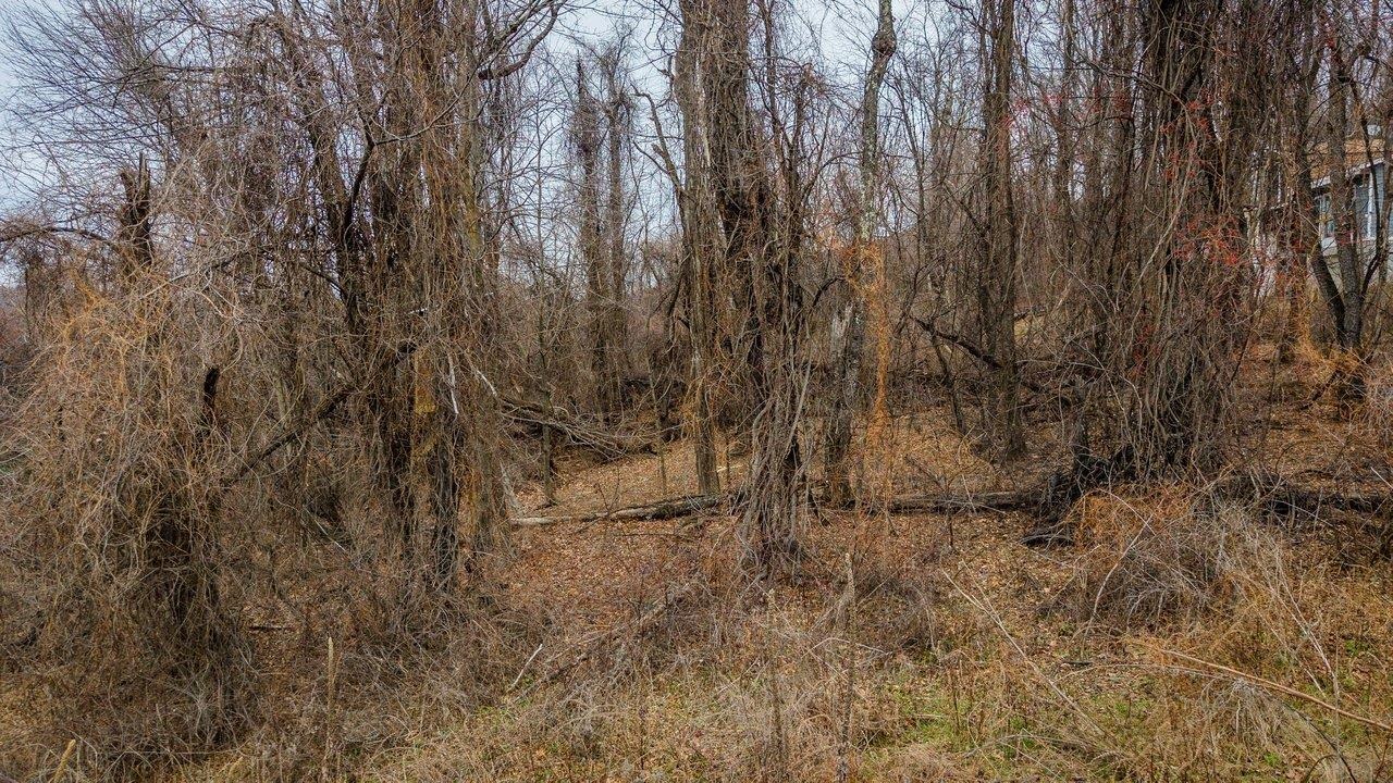 0 SHORT CUT RD, STANLEY, Virginia 22851, ,Land,0 SHORT CUT RD,672679 MLS # 672679 0 SHORT CUT RD, STANLEY, Virginia 22851, ,Land,0 SHORT CUT RD,672679 MLS # 672679