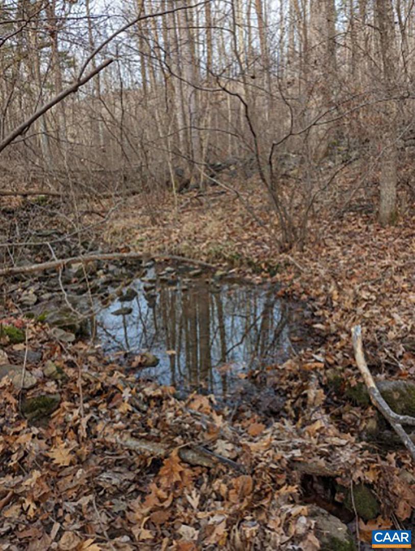 2005 UPPER STONY RUN, GREENWOOD, Virginia 22943, 3 Bedrooms Bedrooms, ,1 BathroomBathrooms,Residential,For sale,2005 UPPER STONY RUN,661879 MLS # 661879 2005 UPPER STONY RUN, GREENWOOD, Virginia 22943, 3 Bedrooms Bedrooms, ,1 BathroomBathrooms,Residential,For sale,2005 UPPER STONY RUN,661879 MLS # 661879