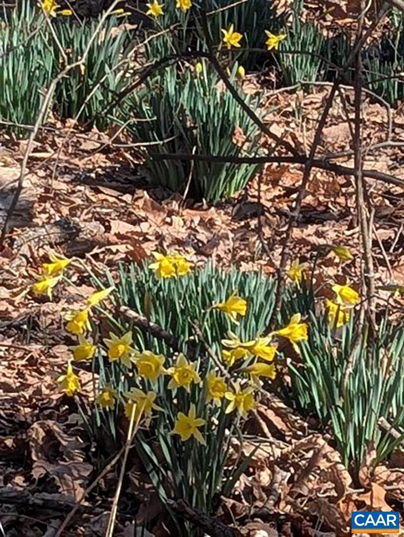 2005 UPPER STONY RUN, GREENWOOD, Virginia 22943, 3 Bedrooms Bedrooms, ,1 BathroomBathrooms,Residential,For sale,2005 UPPER STONY RUN,661879 MLS # 661879 2005 UPPER STONY RUN, GREENWOOD, Virginia 22943, 3 Bedrooms Bedrooms, ,1 BathroomBathrooms,Residential,For sale,2005 UPPER STONY RUN,661879 MLS # 661879