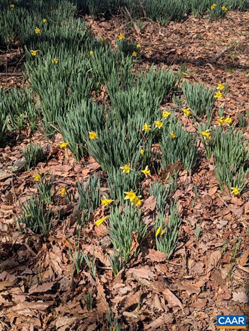 2005 UPPER STONY RUN, GREENWOOD, Virginia 22943, 3 Bedrooms Bedrooms, ,1 BathroomBathrooms,Residential,For sale,2005 UPPER STONY RUN,661879 MLS # 661879 2005 UPPER STONY RUN, GREENWOOD, Virginia 22943, 3 Bedrooms Bedrooms, ,1 BathroomBathrooms,Residential,For sale,2005 UPPER STONY RUN,661879 MLS # 661879