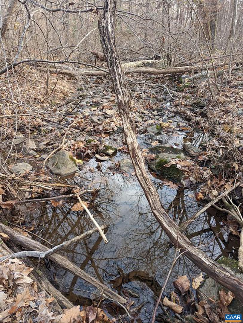 2005 UPPER STONY RUN, GREENWOOD, Virginia 22943, 3 Bedrooms Bedrooms, ,1 BathroomBathrooms,Residential,For sale,2005 UPPER STONY RUN,661879 MLS # 661879 2005 UPPER STONY RUN, GREENWOOD, Virginia 22943, 3 Bedrooms Bedrooms, ,1 BathroomBathrooms,Residential,For sale,2005 UPPER STONY RUN,661879 MLS # 661879