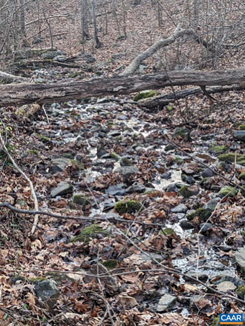 2005 UPPER STONY RUN, GREENWOOD, Virginia 22943, 3 Bedrooms Bedrooms, ,1 BathroomBathrooms,Residential,For sale,2005 UPPER STONY RUN,661879 MLS # 661879 2005 UPPER STONY RUN, GREENWOOD, Virginia 22943, 3 Bedrooms Bedrooms, ,1 BathroomBathrooms,Residential,For sale,2005 UPPER STONY RUN,661879 MLS # 661879