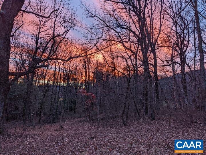 2005 UPPER STONY RUN #10, GREENWOOD, Virginia 22943, ,Land,For sale,2005 UPPER STONY RUN #10,662770 MLS # 662770