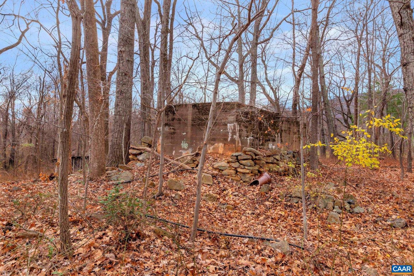 2005 UPPER STONY RUN #10, GREENWOOD, Virginia 22943, ,Land,For sale,2005 UPPER STONY RUN #10,662770 MLS # 662770