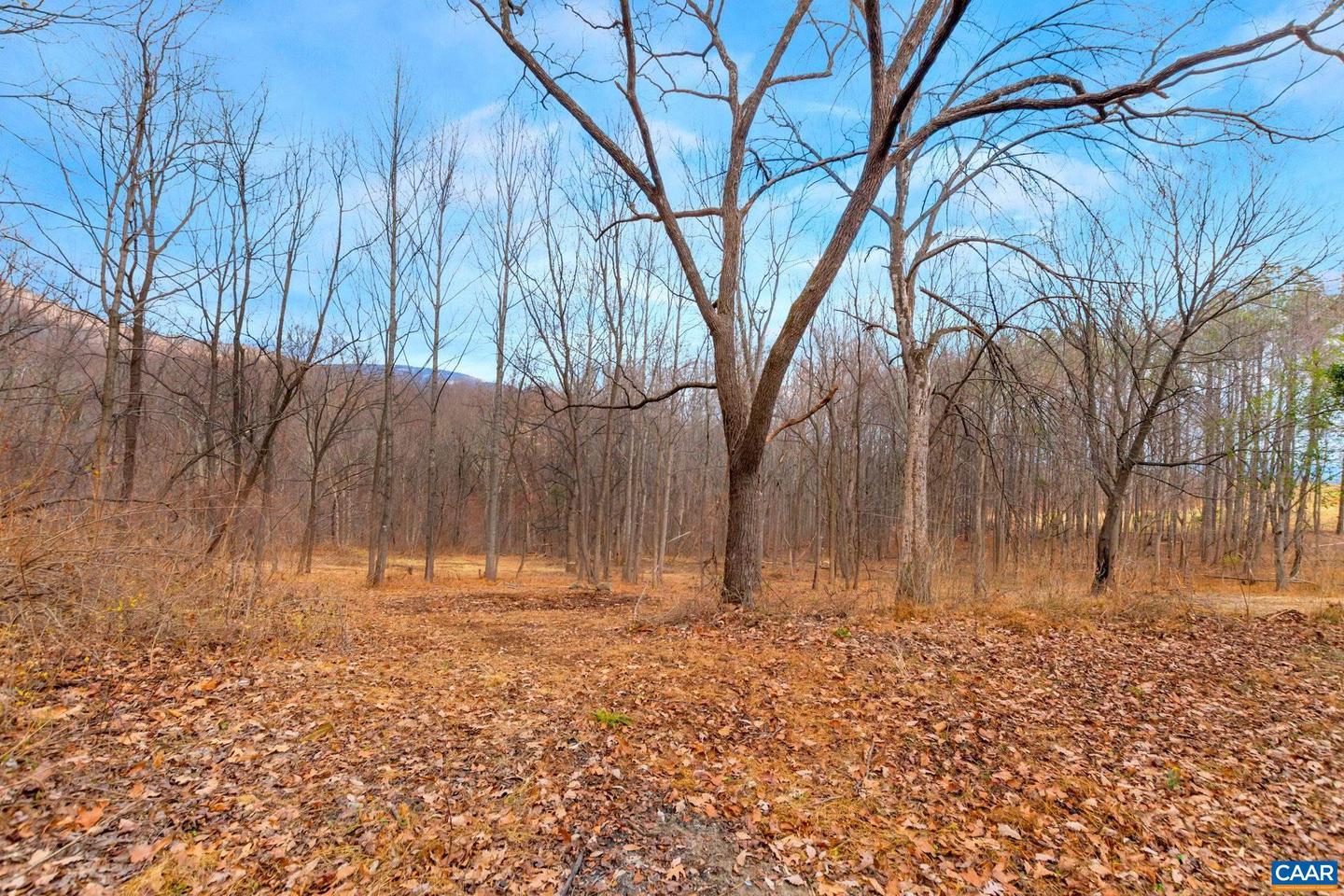 2005 UPPER STONY RUN #10, GREENWOOD, Virginia 22943, ,Land,For sale,2005 UPPER STONY RUN #10,662770 MLS # 662770