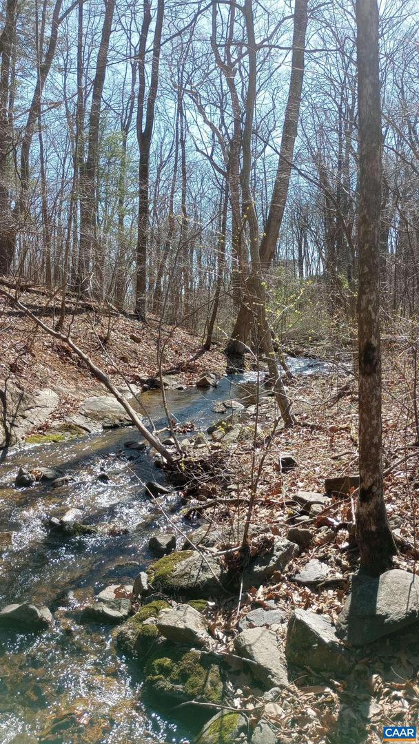 2005 UPPER STONY RUN #10, GREENWOOD, Virginia 22943, ,Land,For sale,2005 UPPER STONY RUN #10,662770 MLS # 662770