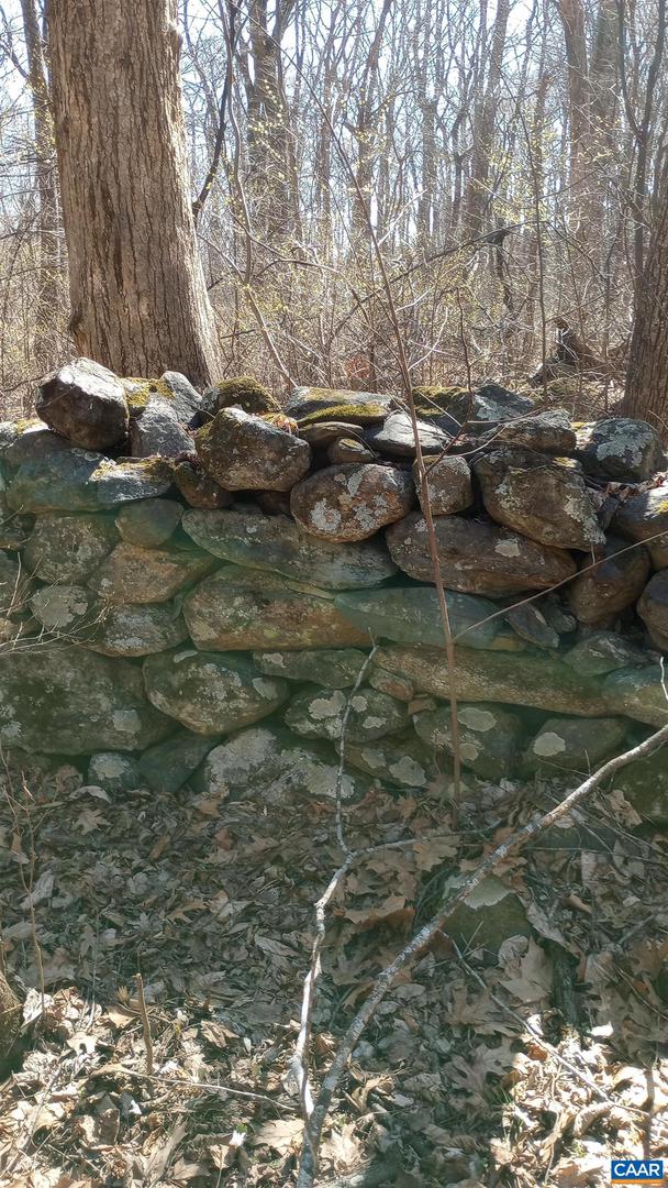 2005 UPPER STONY RUN #10, GREENWOOD, Virginia 22943, ,Land,For sale,2005 UPPER STONY RUN #10,662770 MLS # 662770