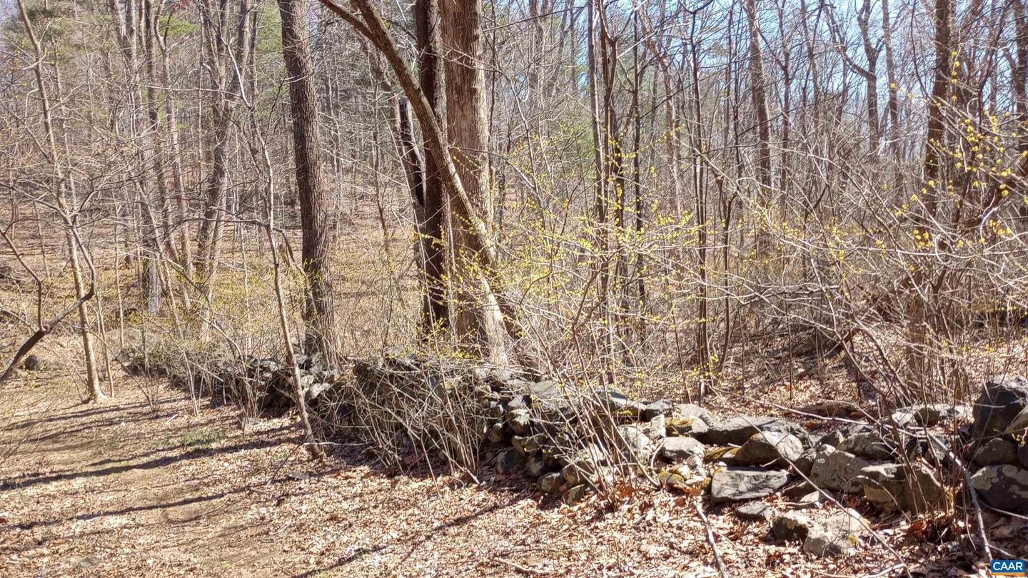 2005 UPPER STONY RUN #10, GREENWOOD, Virginia 22943, ,Land,For sale,2005 UPPER STONY RUN #10,662770 MLS # 662770