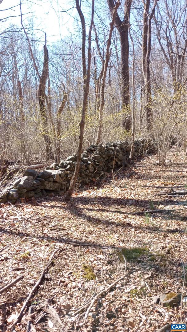 2005 UPPER STONY RUN #10, GREENWOOD, Virginia 22943, ,Land,For sale,2005 UPPER STONY RUN #10,662770 MLS # 662770